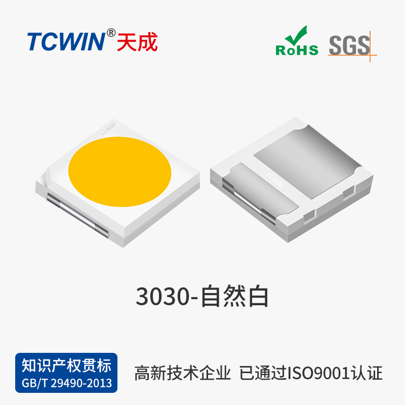 3030經濟版 白光100-110lm 6V