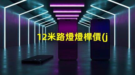 12米路燈燈桿價(jià)格價(jià)格與品質(zhì)的最佳對比,你選對了嗎