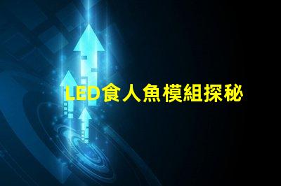 LED食人魚模組探秘新型LED食人魚模組的優(yōu)勢(shì)與應(yīng)用