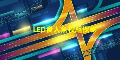 LED食人魚模組探秘新型LED食人魚模組的優(yōu)勢與應(yīng)用
