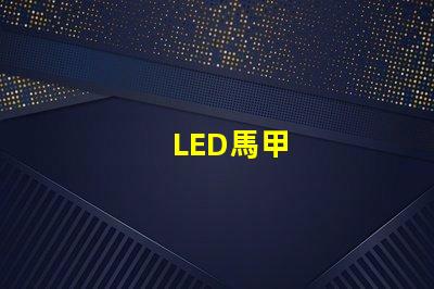 LED馬甲