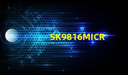 SK9816MICRO-J