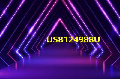 US8124988US8124988B2專B2利權威審查標準揭秘專利權威審查標準詳解