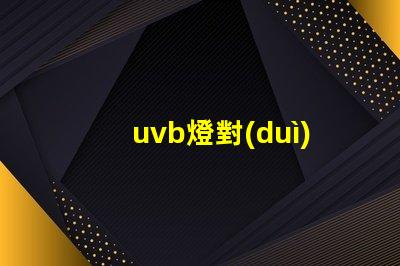 uvb燈對(duì)人體有傷害嗎深入解析UVB燈對(duì)皮膚健康的影響