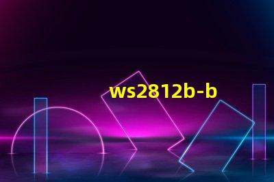 ws2812b-b