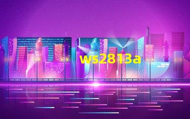 ws2813a
