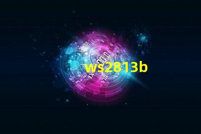 ws2813b