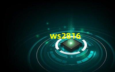 ws2816