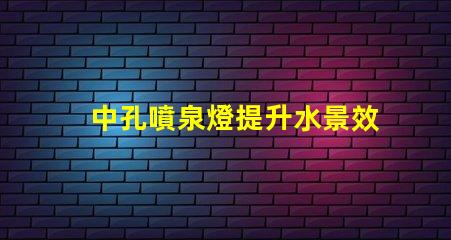 中孔噴泉燈提升水景效果的創新照明技術