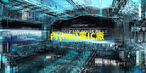 內(nèi)置IC廠家