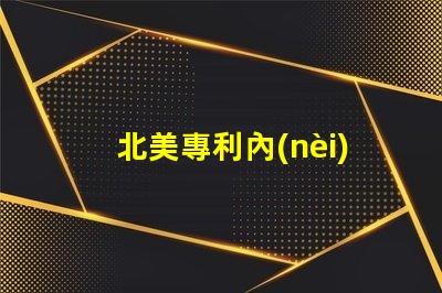 北美專利內(nèi)置ic燈珠