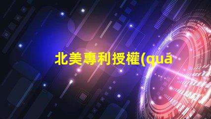 北美專利授權(quán)3030燈珠專利號US8124988B2解析—這款LED燈珠為何備受青睞