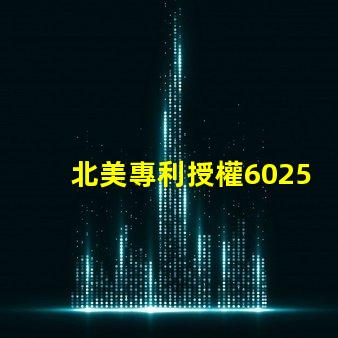 北美專利授權6025燈珠高效節能光源技術解密