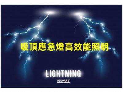 吸頂應急燈高效能照明解決方案,您準備好了嗎
