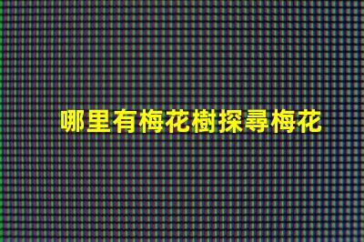 哪里有梅花樹探尋梅花樹的最佳觀賞地點