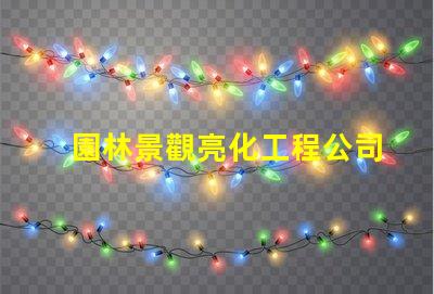 園林景觀亮化工程公司如何選擇專業(yè)公司提升項(xiàng)目價(jià)值