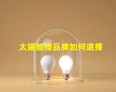 太陽能燈品牌如何選擇最具性價比的太陽能燈品牌