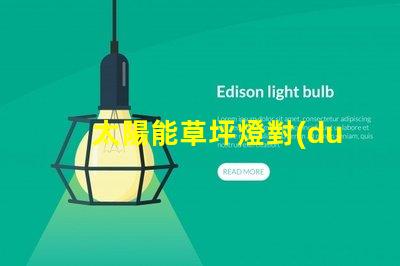 太陽能草坪燈對(duì)提升戶外環(huán)境的照明解決方案