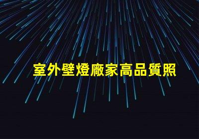 室外壁燈廠家高品質照明解決方案提供商,你準備好了嗎