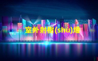 室外射樹(shù)燈提升夜間景觀效果的秘密武器