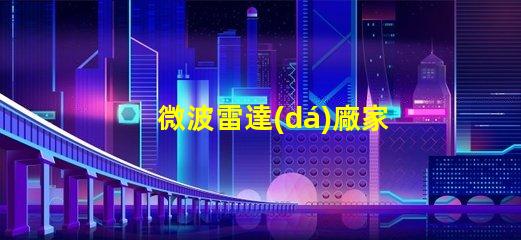 微波雷達(dá)廠家如何選擇最具性價比的供應(yīng)商