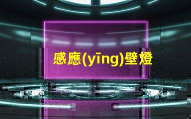 感應(yīng)壁燈智能感應(yīng)技術(shù)提升安全性嗎