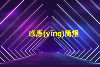 感應(yīng)筒燈廠家探索最新的感應(yīng)筒燈制造技術(shù)