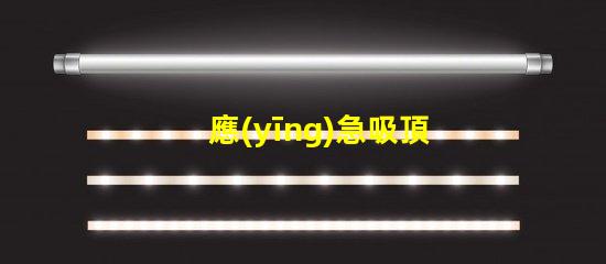 應(yīng)急吸頂燈全面解析其應(yīng)用與優(yōu)勢(shì)