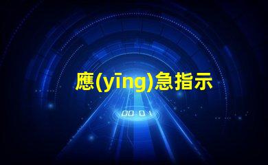 應(yīng)急指示標(biāo)志燈確保安全的關(guān)鍵亮點(diǎn)