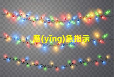 應(yīng)急指示燈電源確保安全的選擇與選購(gòu)指南