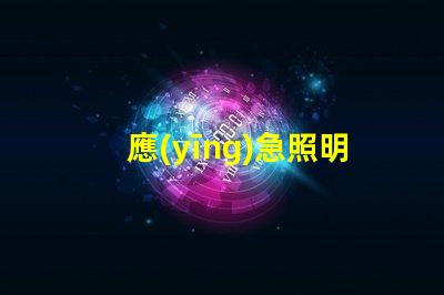 應(yīng)急照明和疏散指示提升安全性的重要設(shè)施解析