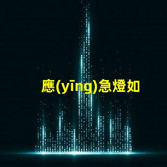 應(yīng)急燈如何選擇高效能應(yīng)急燈以應(yīng)對突發(fā)狀況