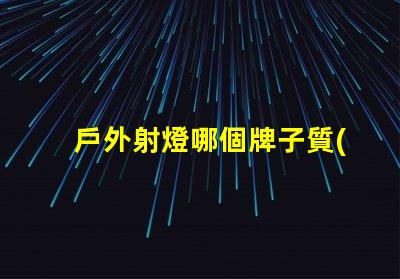 戶外射燈哪個牌子質(zhì)量好探尋戶外照明設備最佳選擇