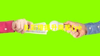 扎彩燈提升商業(yè)吸引力的燈光選擇
