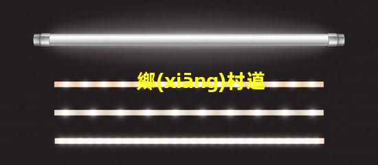 鄉(xiāng)村道路路燈亮化工程提升鄉(xiāng)村夜間安全與美觀