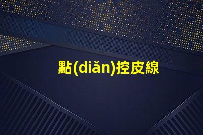 點(diǎn)控皮線燈