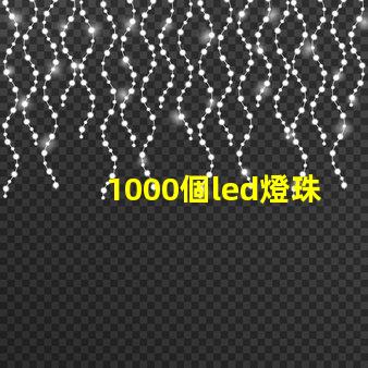 1000個led燈珠