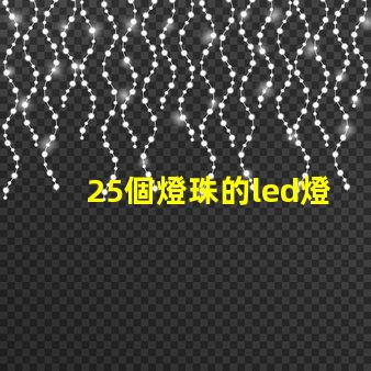 25個燈珠的led燈