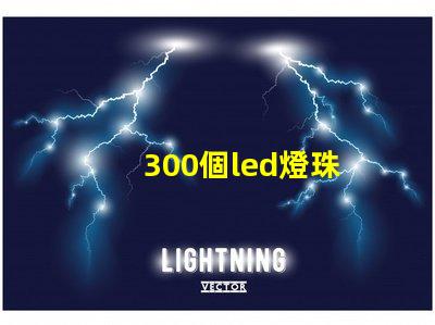 300個led燈珠