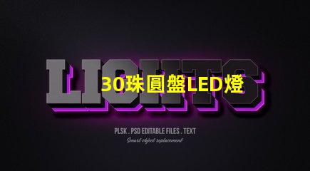 30珠圓盤LED燈