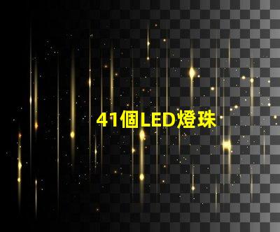 41個LED燈珠