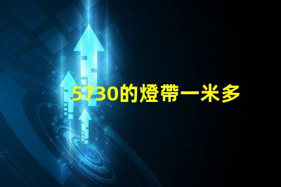 5730的燈帶一米多少瓦
