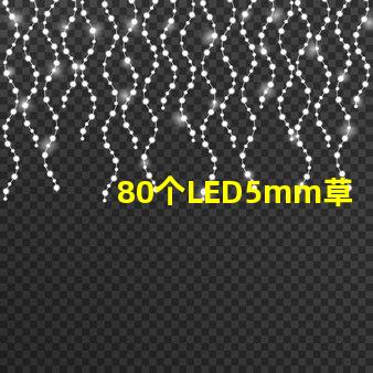 80個LED5mm草帽燈珠配多大驅動器？