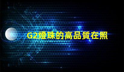 G2燈珠的高品質在照明行業中備受認可
