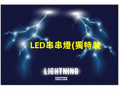 LED串串燈(獨特裝飾效果)