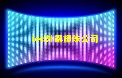 led外露燈珠公司