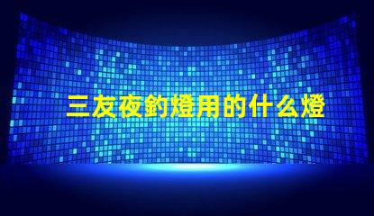 三友夜釣燈用的什么燈珠