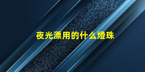 夜光漂用的什么燈珠