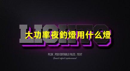 大功率夜釣燈用什么燈珠