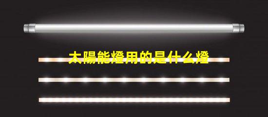 太陽能燈用的是什么燈珠